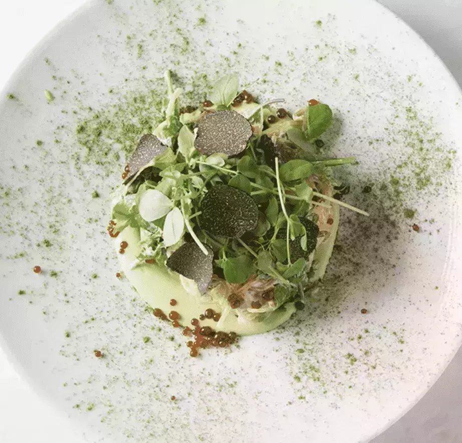 Plant Miami Restaurant