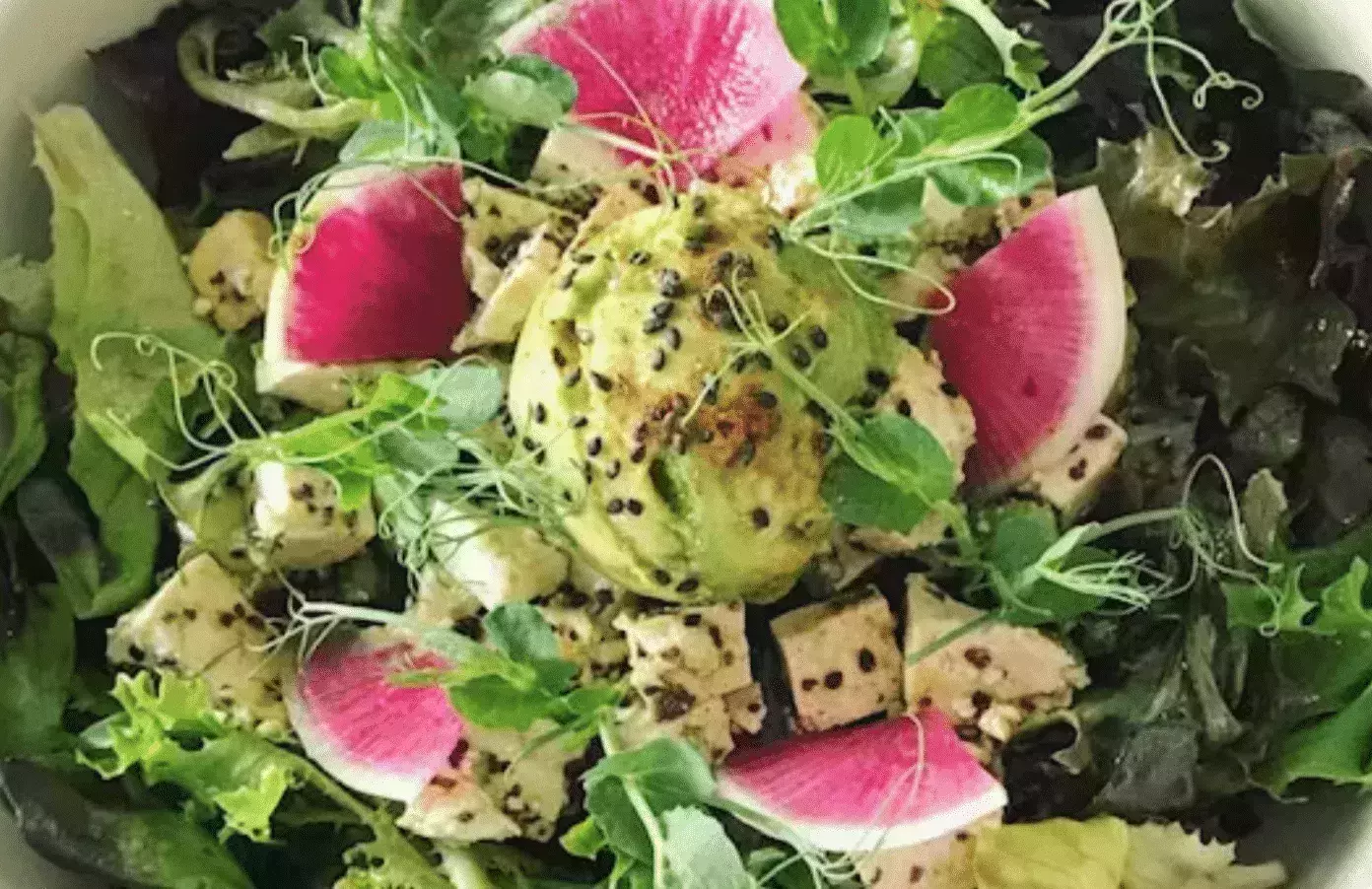 Vegan Hills Restaurant
