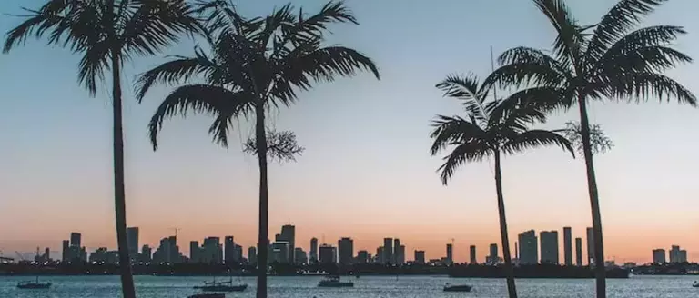 Where is the Best Nightlife in Miami? | Enjoy Travel