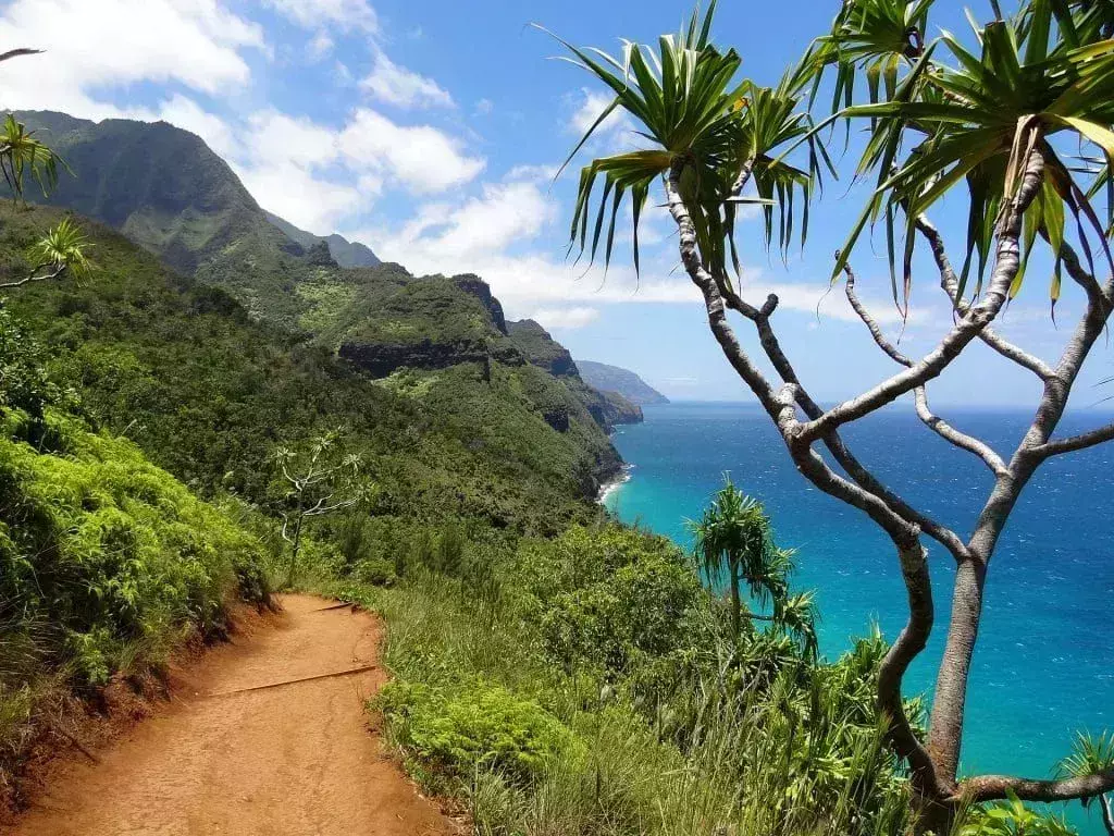 hawaii cheap
