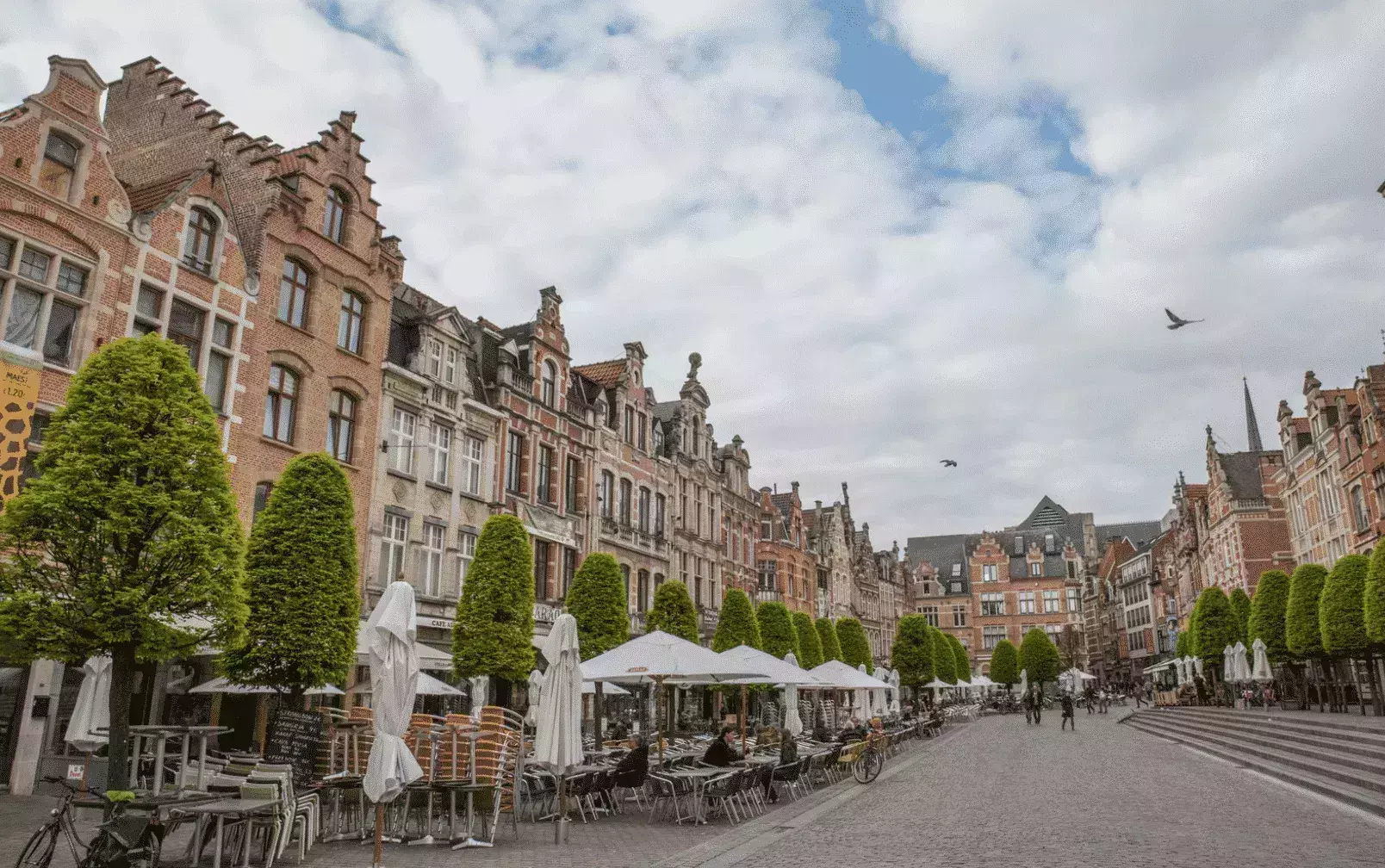 City Should Pedestrianise