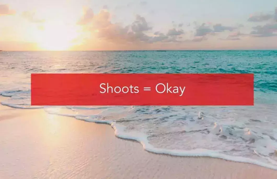 Shoots = Okay