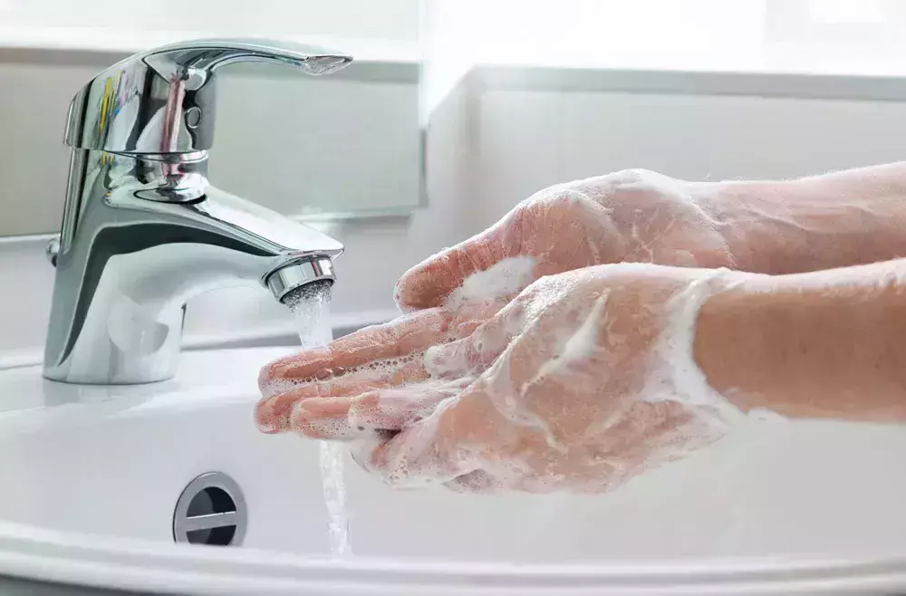How To Sanitize Your Cruise Ship Cabin