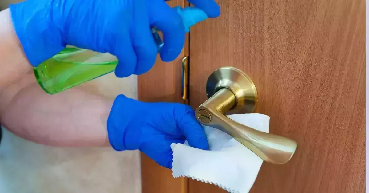 How To Sanitize Your Cruise Ship Cabin