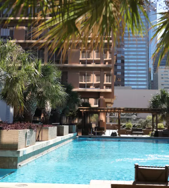 Pool at the Fairmont Dallas with lush tropical trees