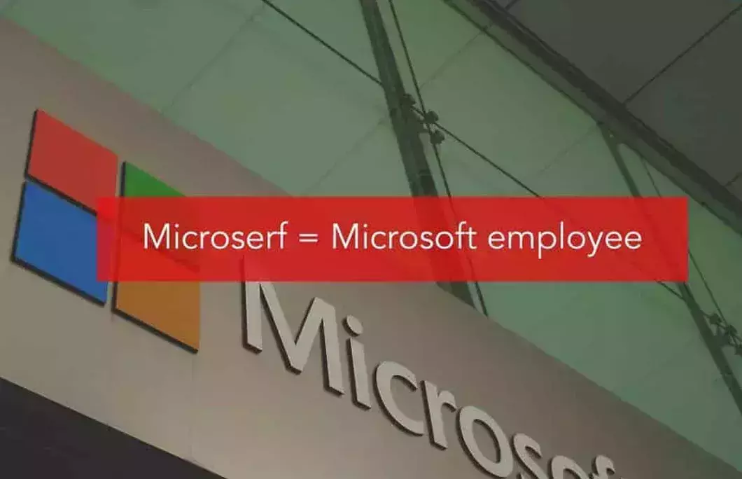 Microserf = Microsoft employee