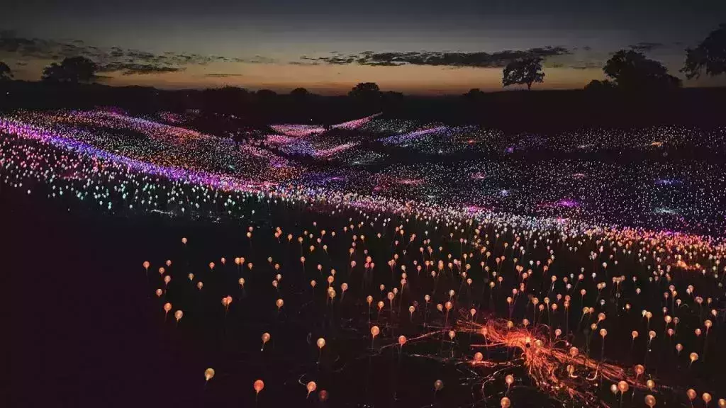 California&amp;amp;amp;#039;s Field Of Light