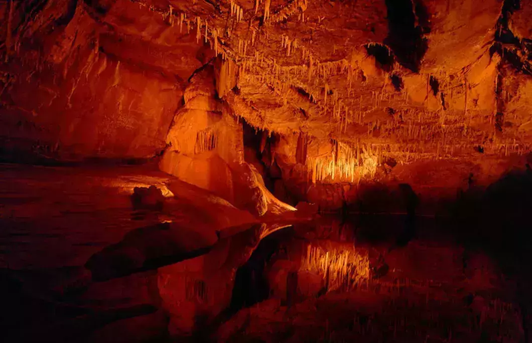 Lascaux contains outstanding displays of prehistoric art