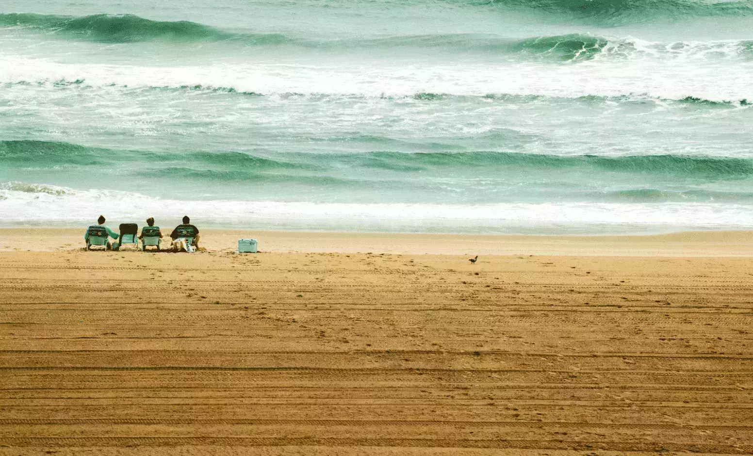 Virginia Beach World Travel Guides