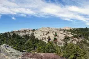 people hiking up hill