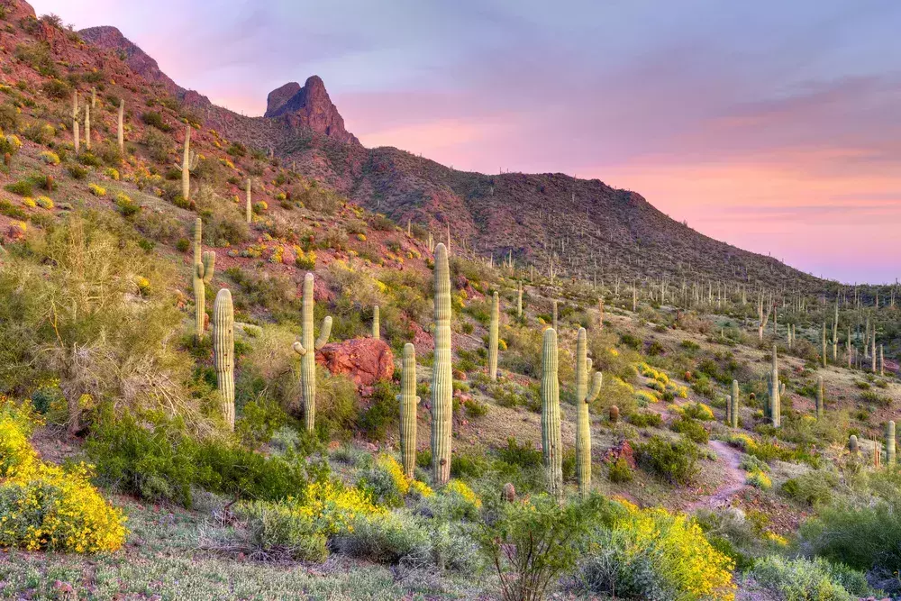 picacho peak trail near santa fe