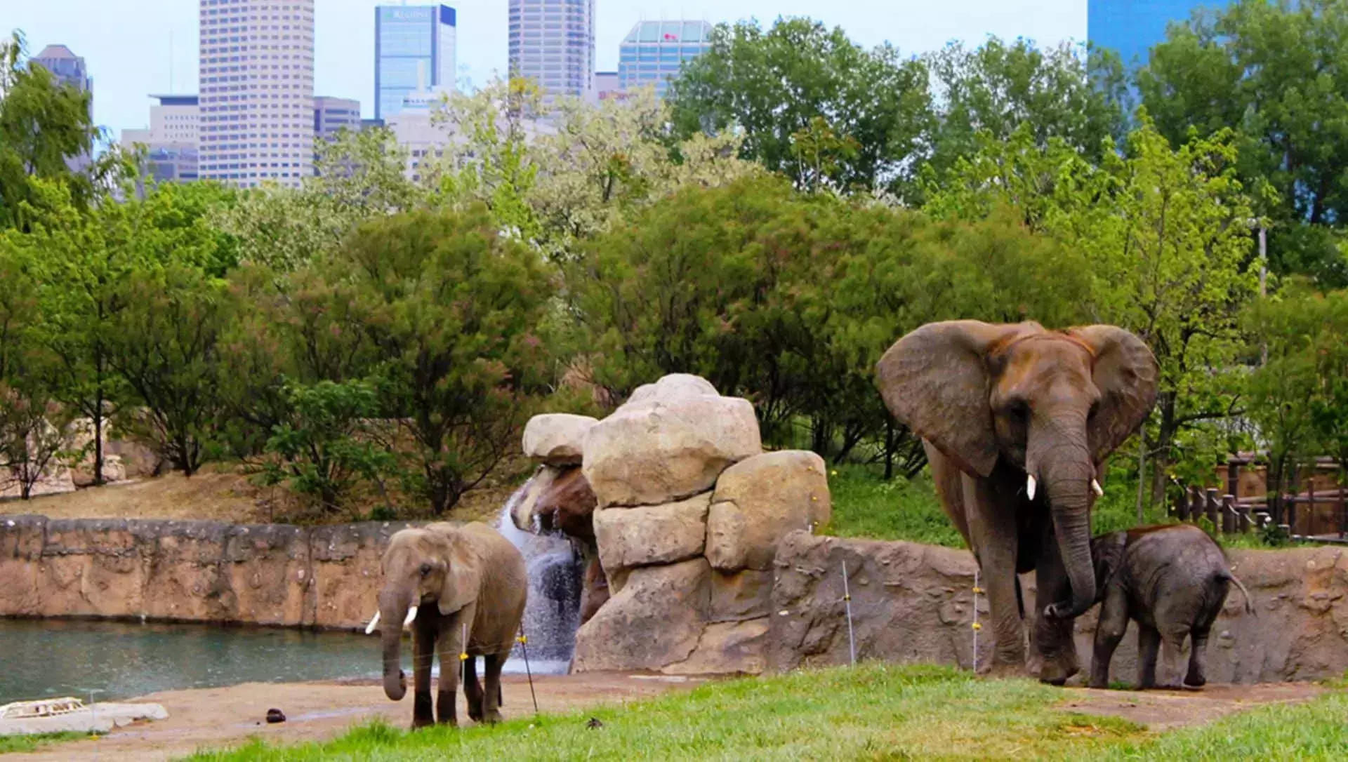Zoo in Indianapolis 