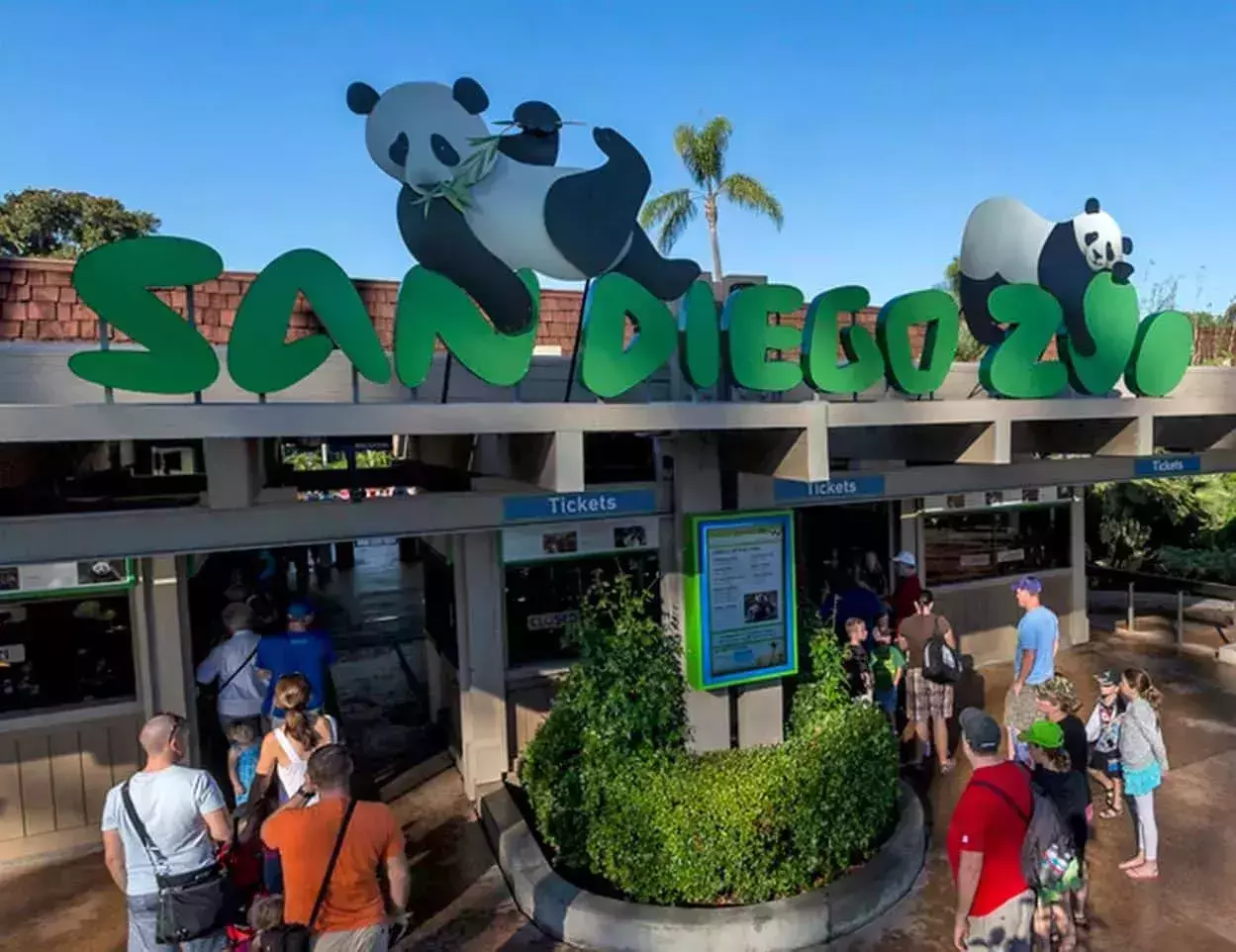 things to do in san diego