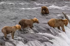 The Most Instagrammable Spots In Alaska