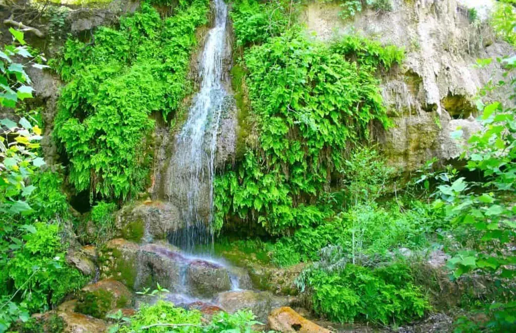 Krause Springs