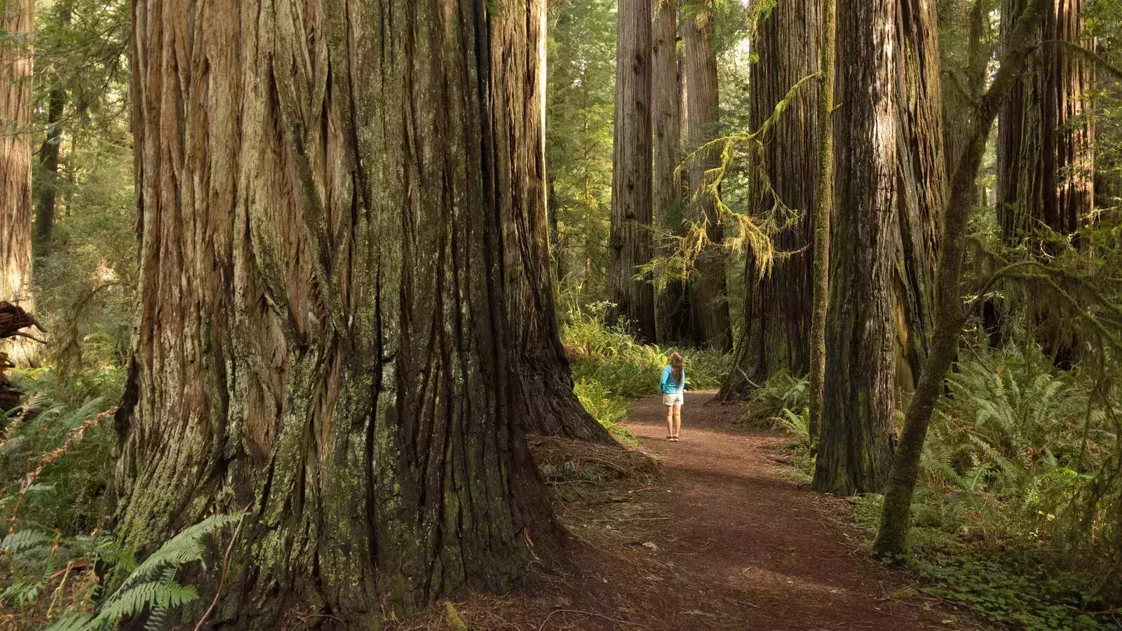 10 (Truly) Hidden National Park Gems &amp;amp;middot; National Parks Conservation ...