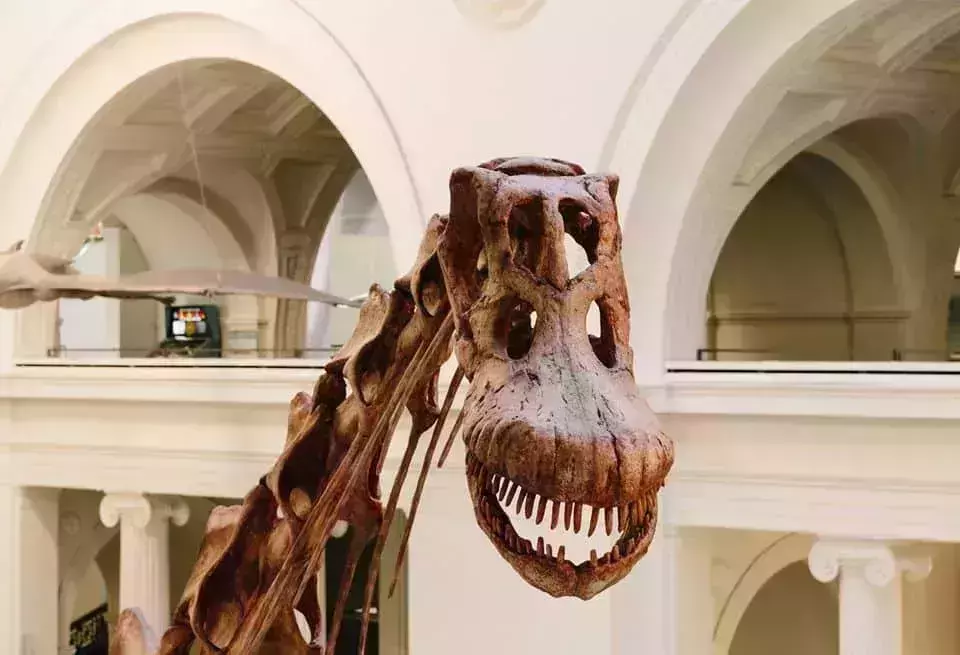 best museums in chicago