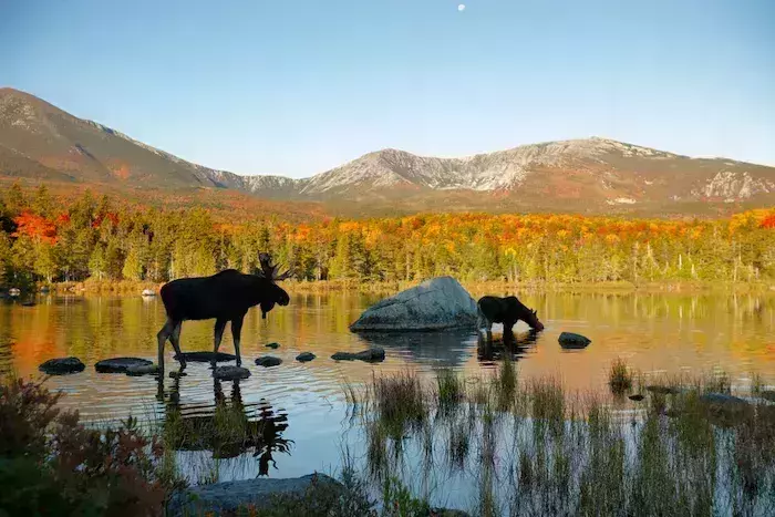 best national parks in Maine