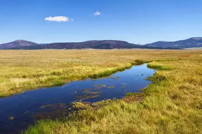 best national parks new mexico