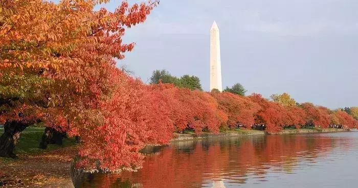 best national parks washington DC