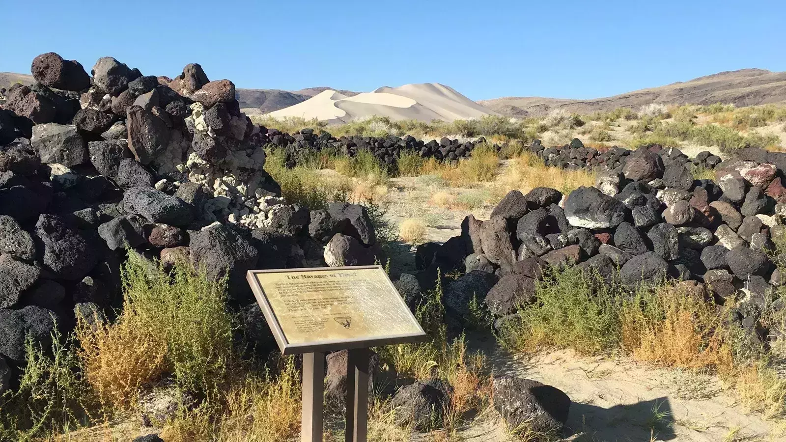 best national parks wyoming