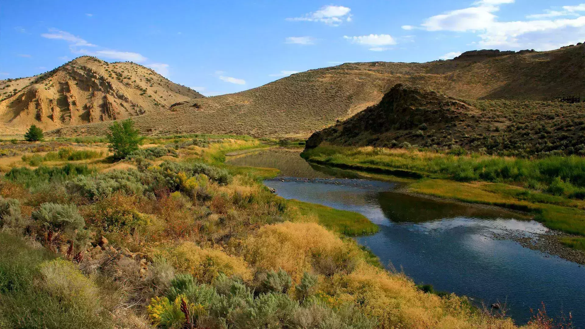 best national parks wyoming