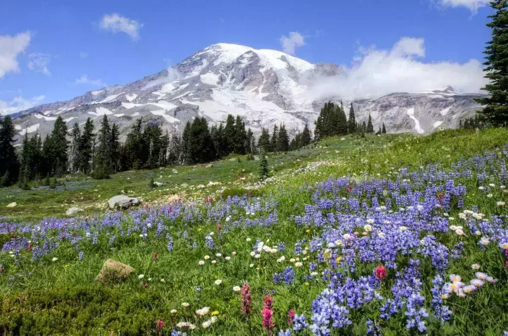 Mount Rainier National Park