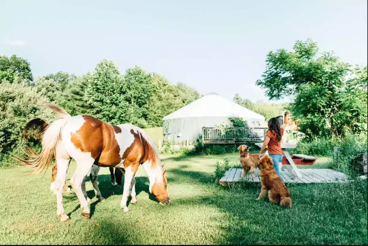 glamping New York
