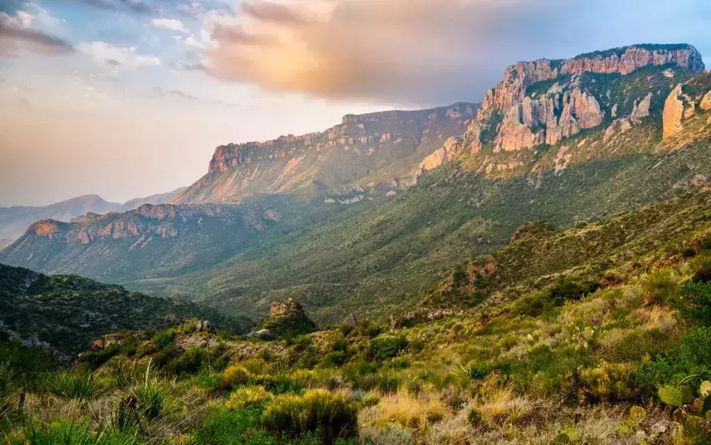spring break destinations texas
