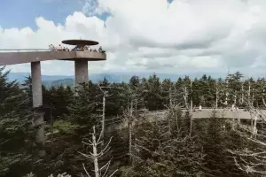 7 of the Best Walks in North Carolina