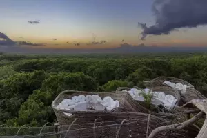 Hotel Of The Day: Azulik Tulum, Mexico