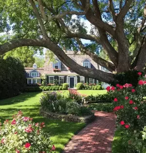 The Most Instagrammable Spots In Massachusetts