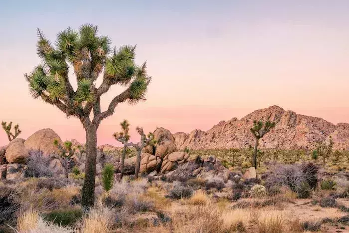 Most Romantic Places in California