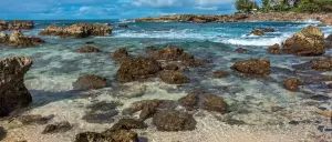 Here Are The Best Places for Snorkeling in North Shore