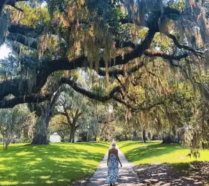 The Most Instagrammable Spots In South Carolina