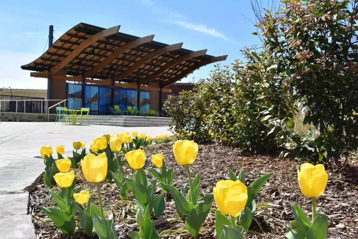 Best day trips from Asheville, North Carolina