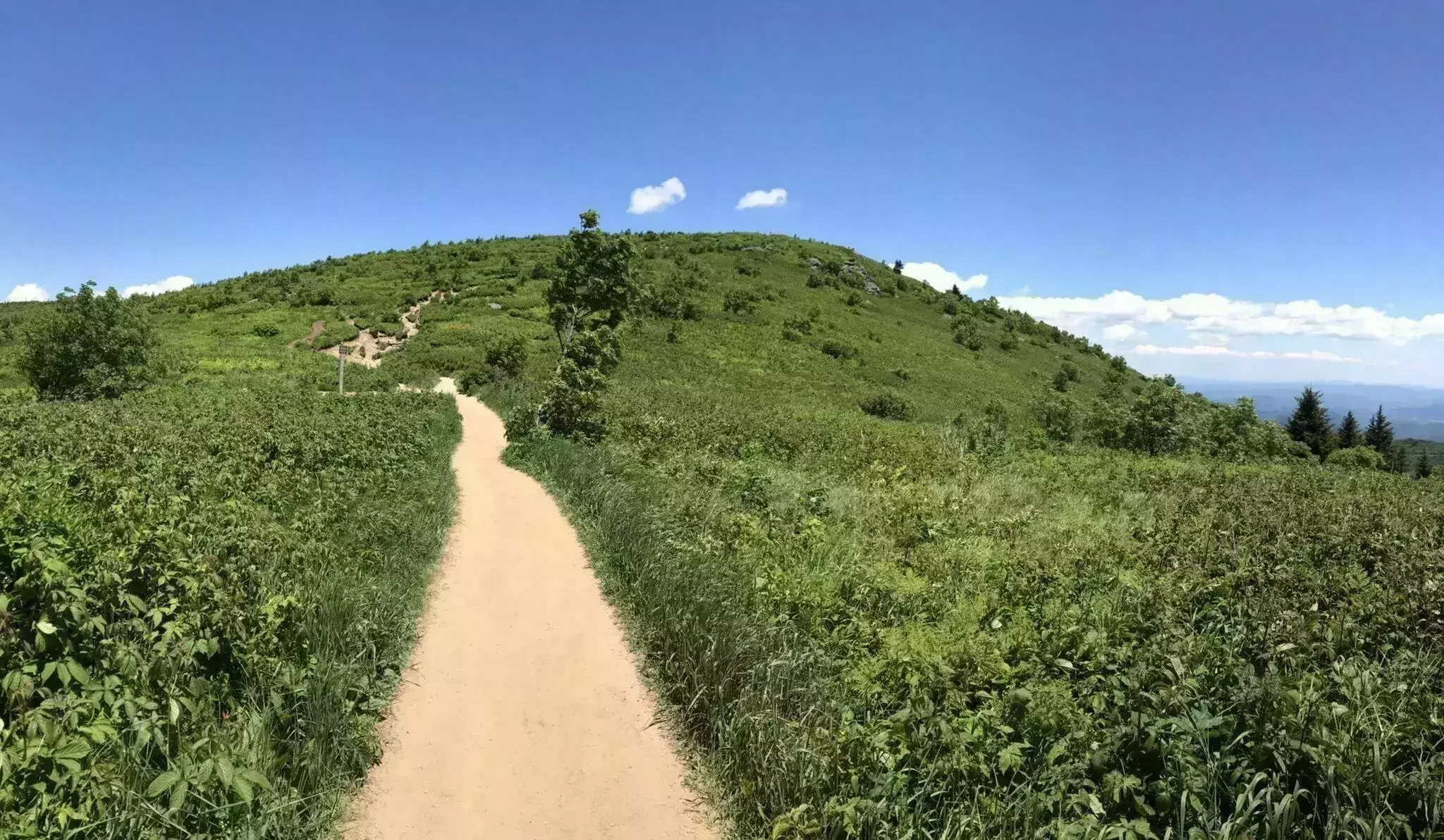 Best hikes in North Carolina