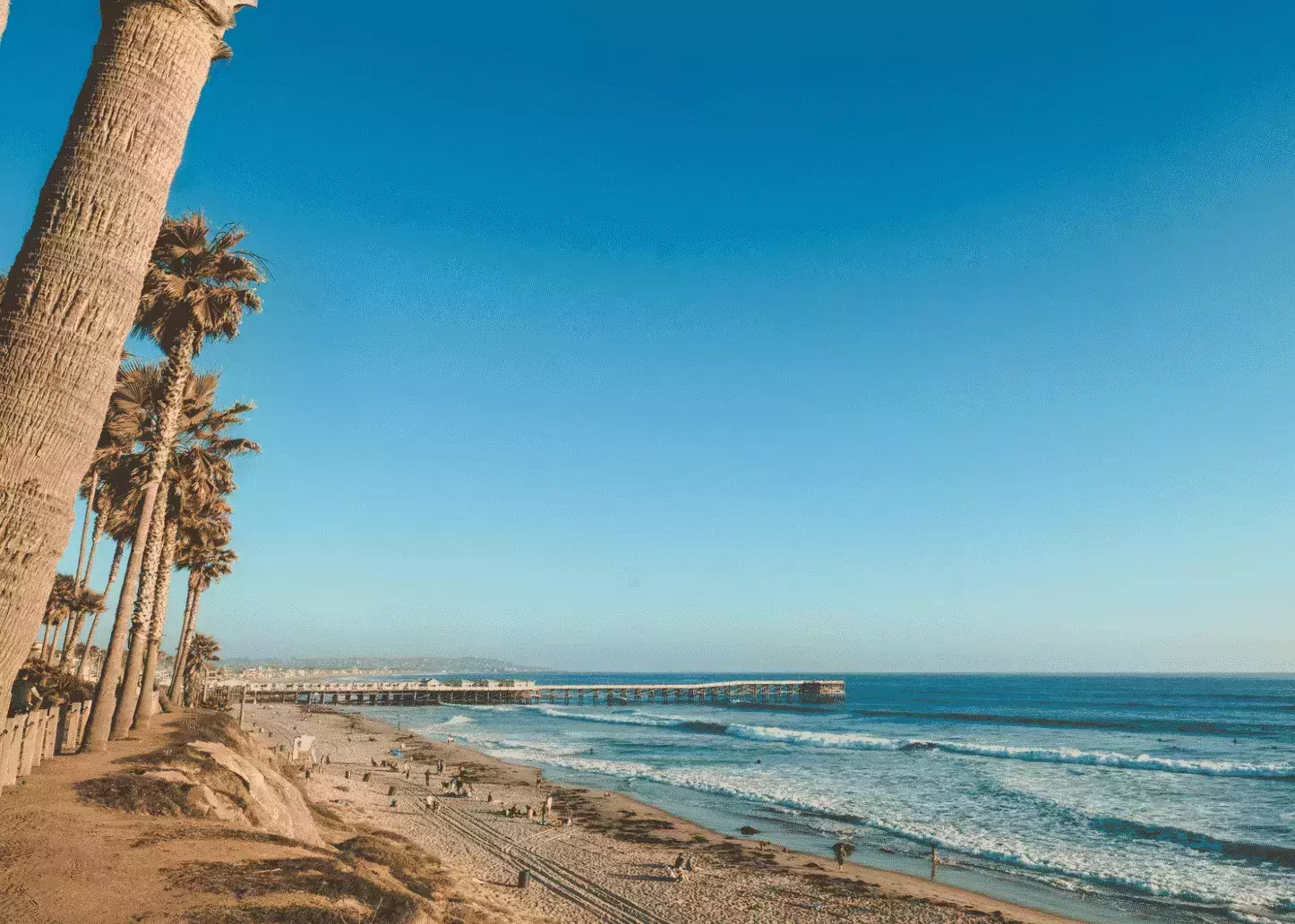 7 Things To Do In San Diego