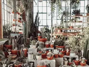 The 7 Most Instagrammable Spots In Atlanta