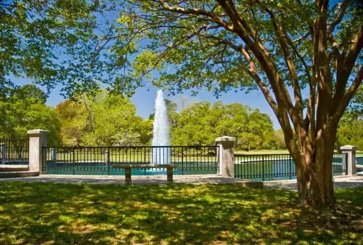 Hampton Park Charleston
