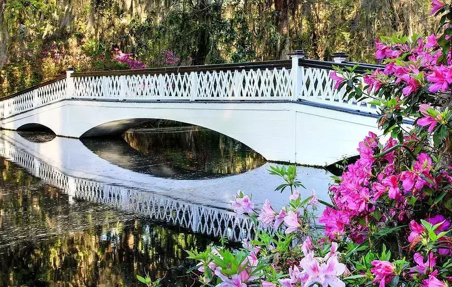 Magnolia Plantation Bridge Charleston