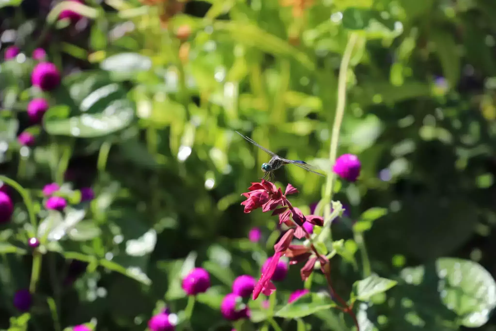Instagrammable places in Des Moines