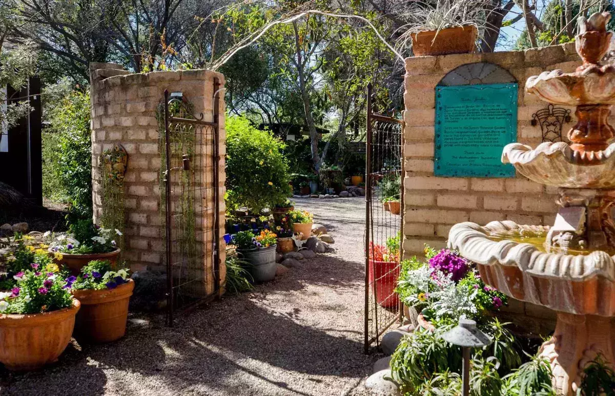 Tucson Botanical Gardens