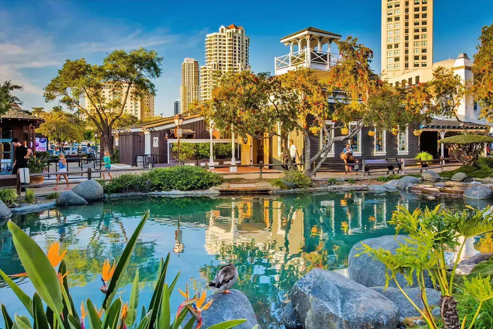 Things to do in san diego