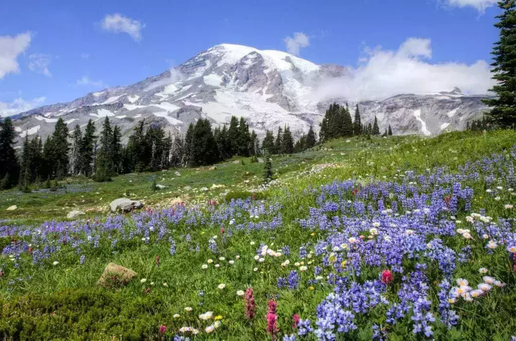 Mount Rainier National Park