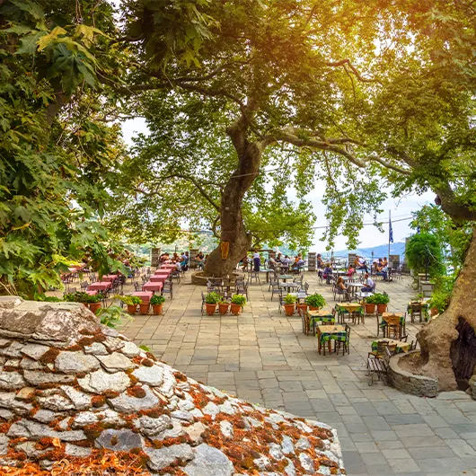 Bella vista del tradizionale villaggio greco di Makrinitsa sul monte Pelio nella Grecia centrale