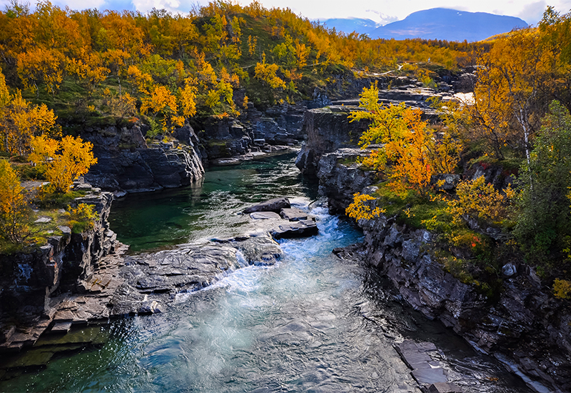 Scenic view of Abisko National Park