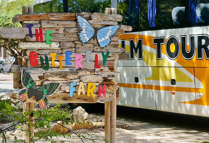 Scenic view of Butterfly Farm