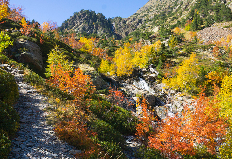 Scenic view of Coma Pedrosa