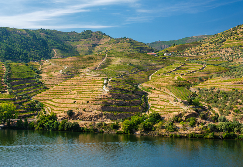 Scenic view of the Douro Valley